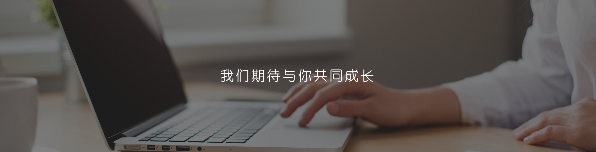 營銷網(wǎng)絡